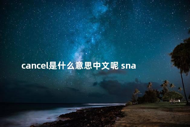 cancel是什么意思中文呢 snack什么意思中文